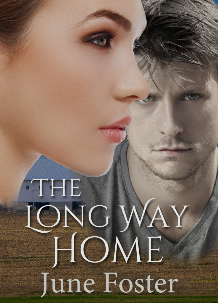 the-story-behind-the-long-way-home-by-june-foster-author-liz-tolsma