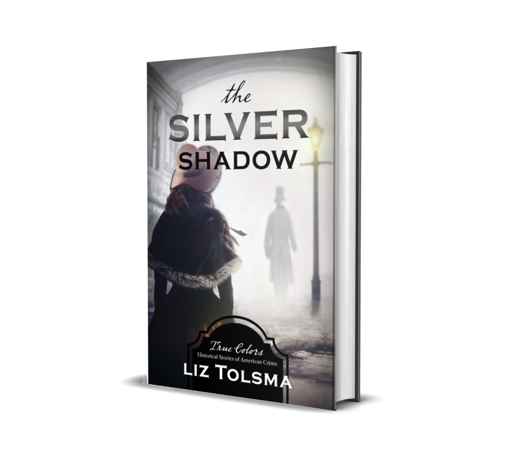 The Silver Shadow, romantic suspense books
